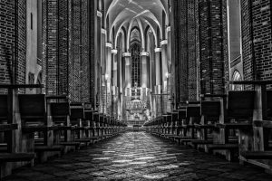 12922279_861645553962027_430383887_o